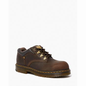 Dr Martens Férfi Hylow Steel Toe Munkavédelmi Cipő Barna